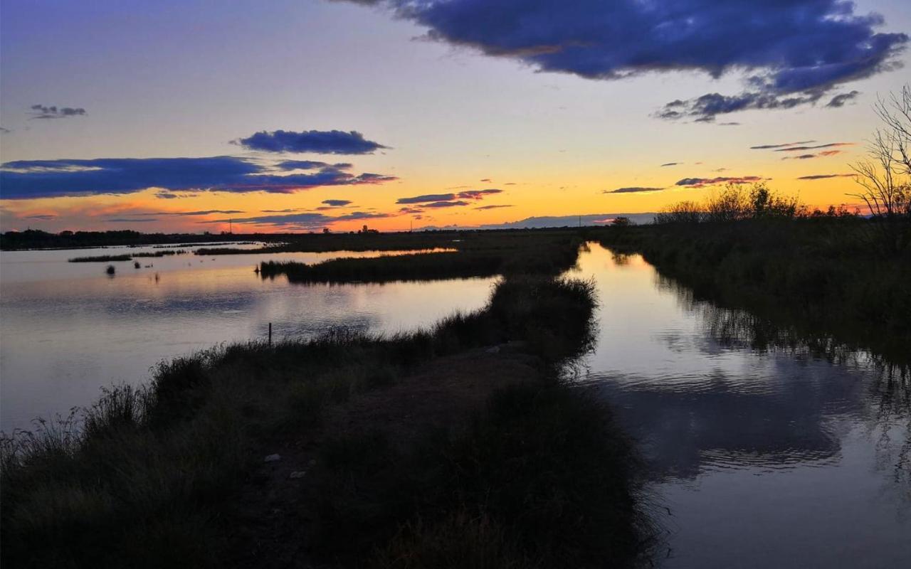Appartement Avec Spa-Avril A Sept-Camargue 4 Personnes แซงต์-โลรองต์-เดกูซ ภายนอก รูปภาพ